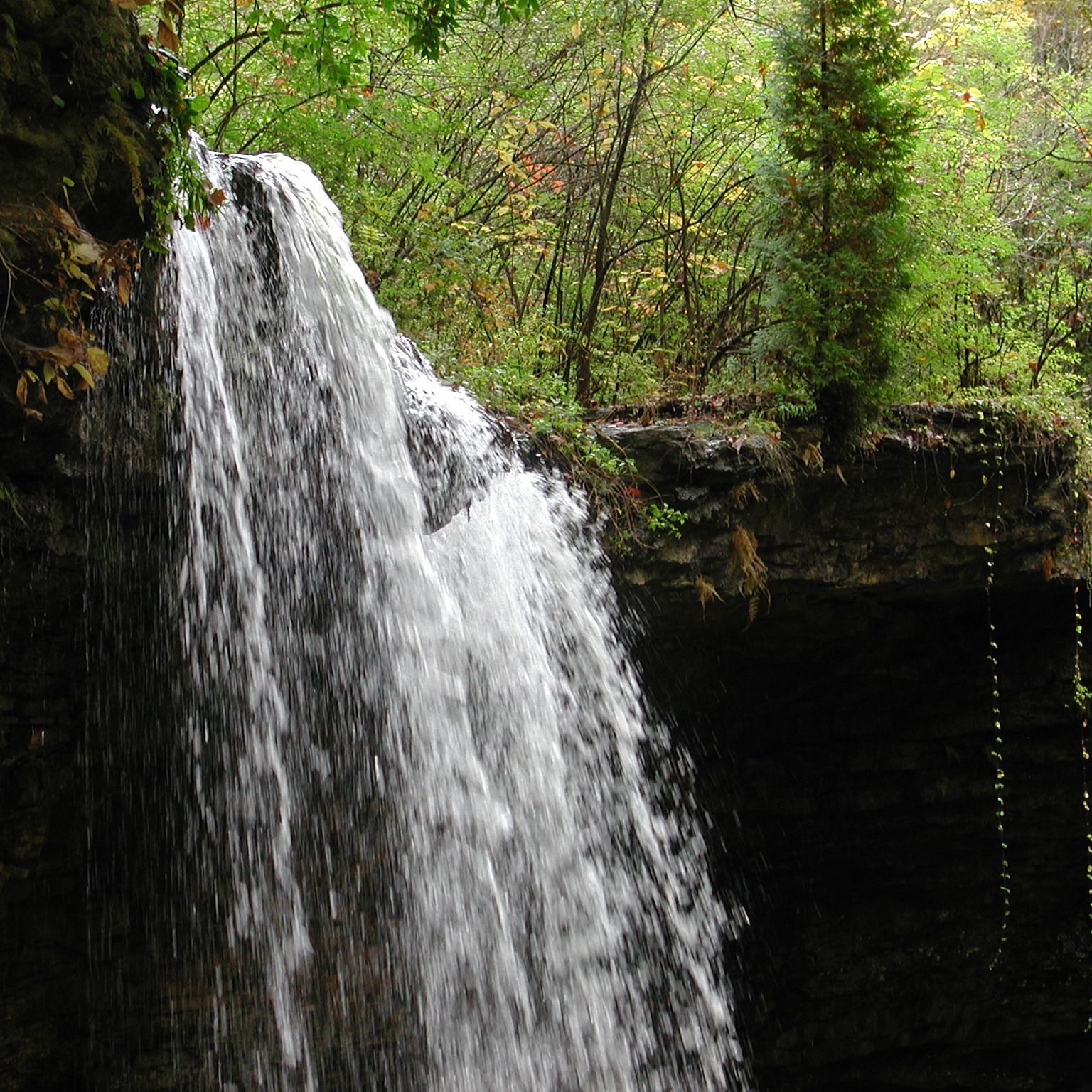 charleston falls